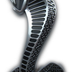 Image for article titled First Drive: 2013 Ford Shelby GT500